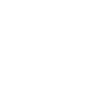 Global Vision Security Service white Logo